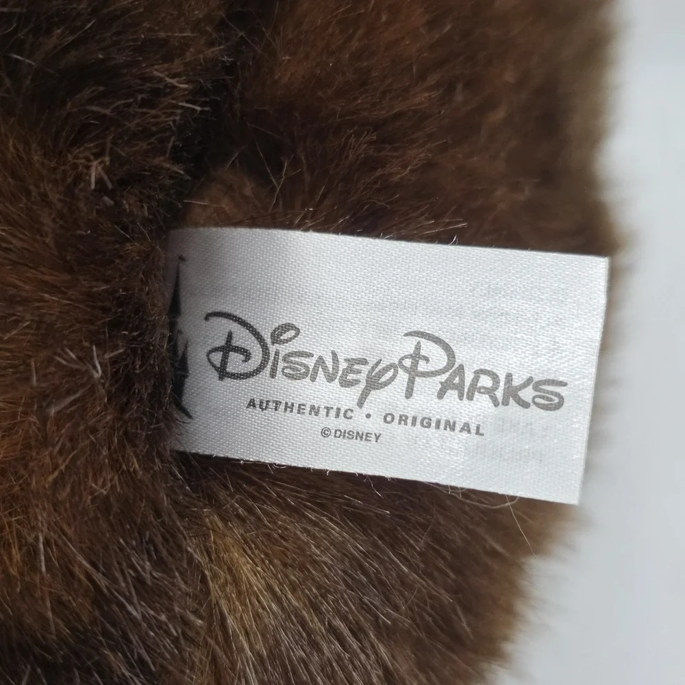 Disney parks large